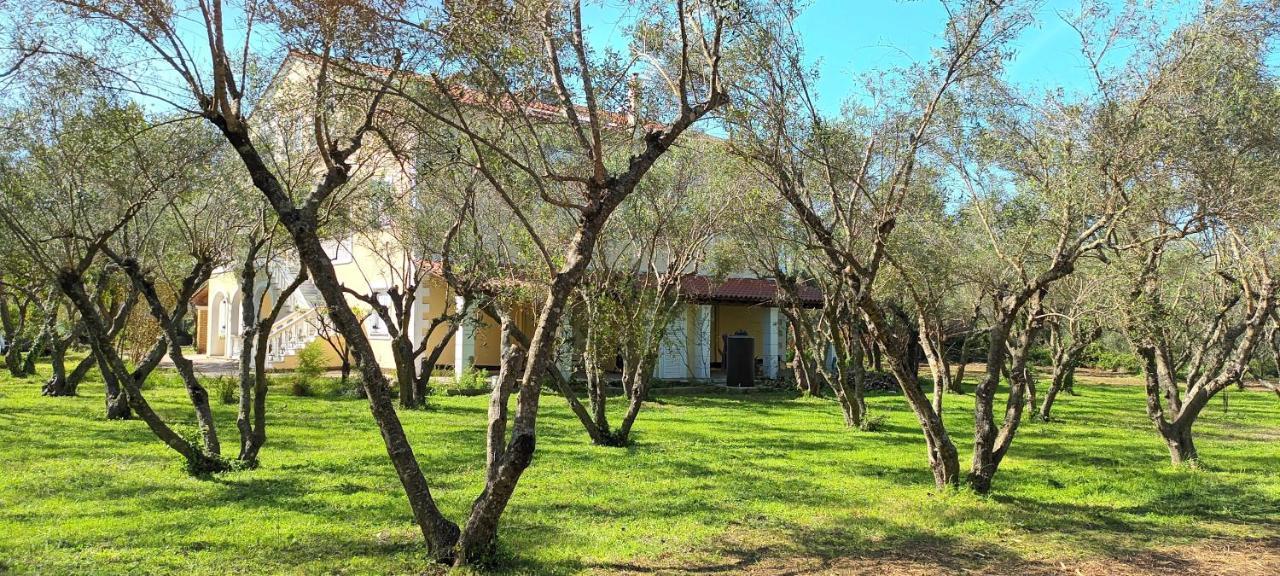 Appartamento Antonios Olive Garden Acharavi Kerkyra Esterno foto