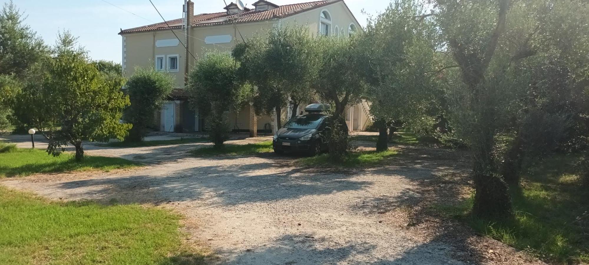 Appartamento Antonios Olive Garden Acharavi Kerkyra Esterno foto